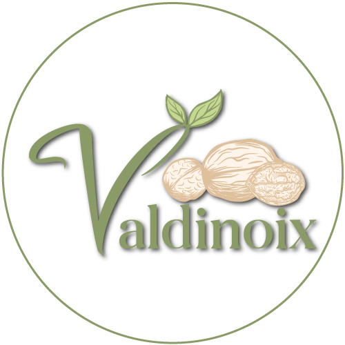 Logo VALDINOIX